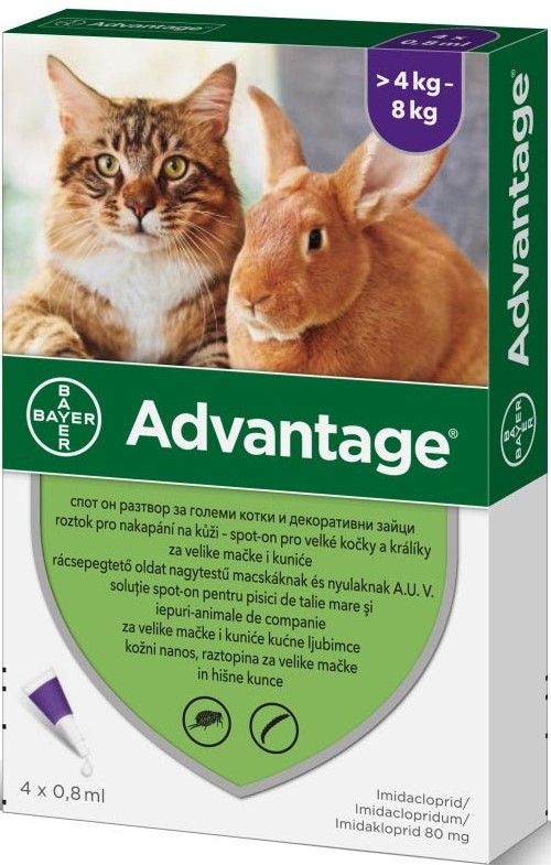 Advantage Spot-on pro kočky a králíky nad 4 kg 80 mg 4 x 0,8 ml
