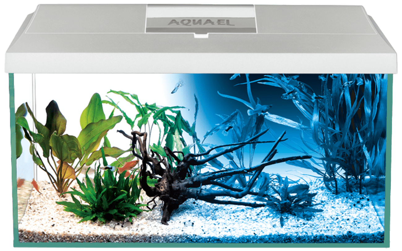 Akvarijní set Aquael LEDDY 40 bílý Day&Night