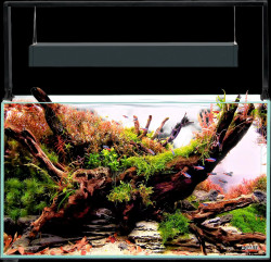 Akvarijní set Aquael Ultrascape 60 Forest 64,8l