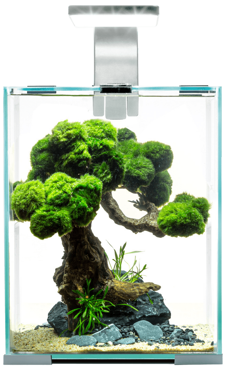 Akvárium Aquael Shrimp Smart Day & Night 10l bílé