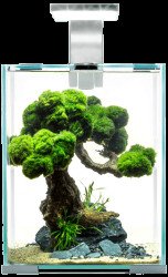 Akvárium Aquael Shrimp Smart Day & Night 10l bílé