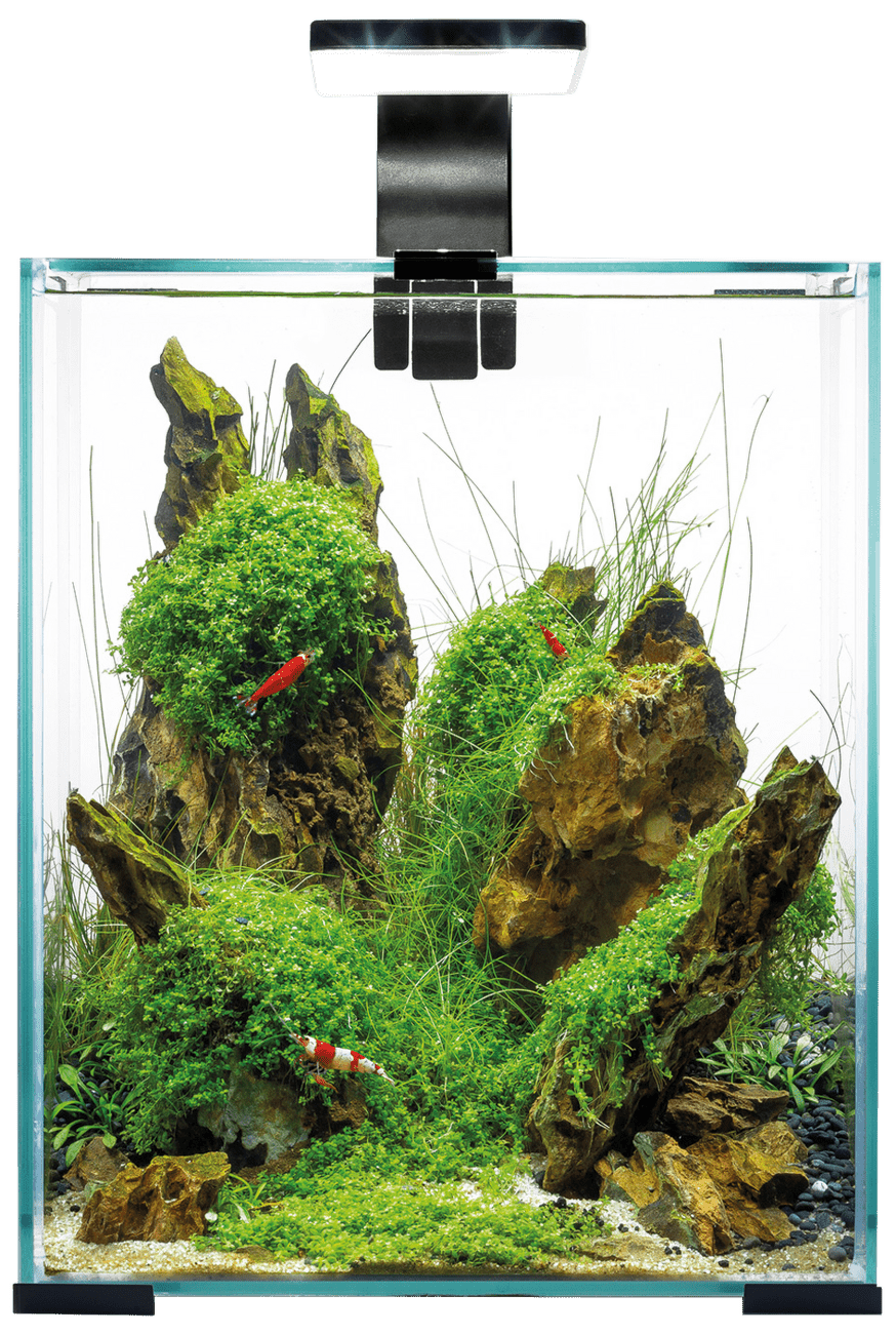 Akvárium Aquael Shrimp Smart Day & Night 19l černé