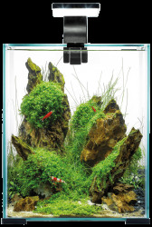 Akvárium Aquael Shrimp Smart Day & Night 19l černé