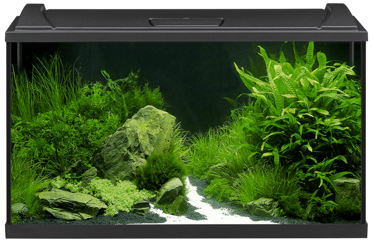 Akvárium Eheim Aquapro LED 126l černá