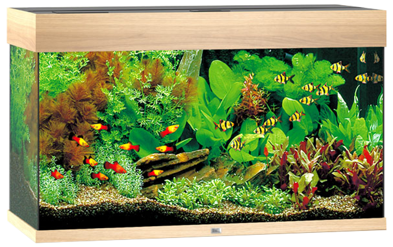 Akvárium Juwel Rio LED 125l dub