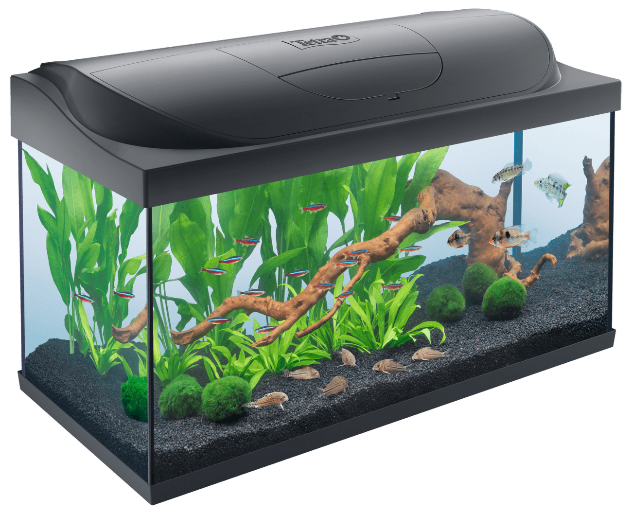 Akvárium set Tetra Starter line LED 105l