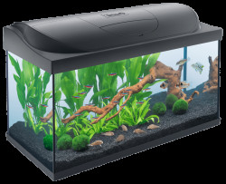 Akvárium set Tetra Starter line LED 105l