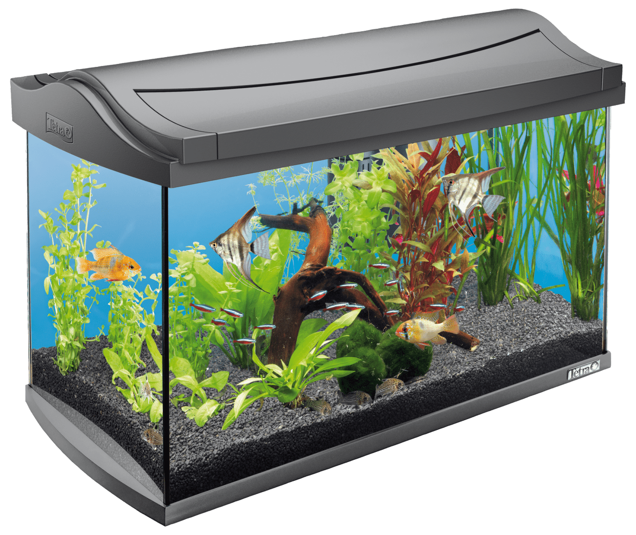 Akvárium Tetra AquaArt LED 60l