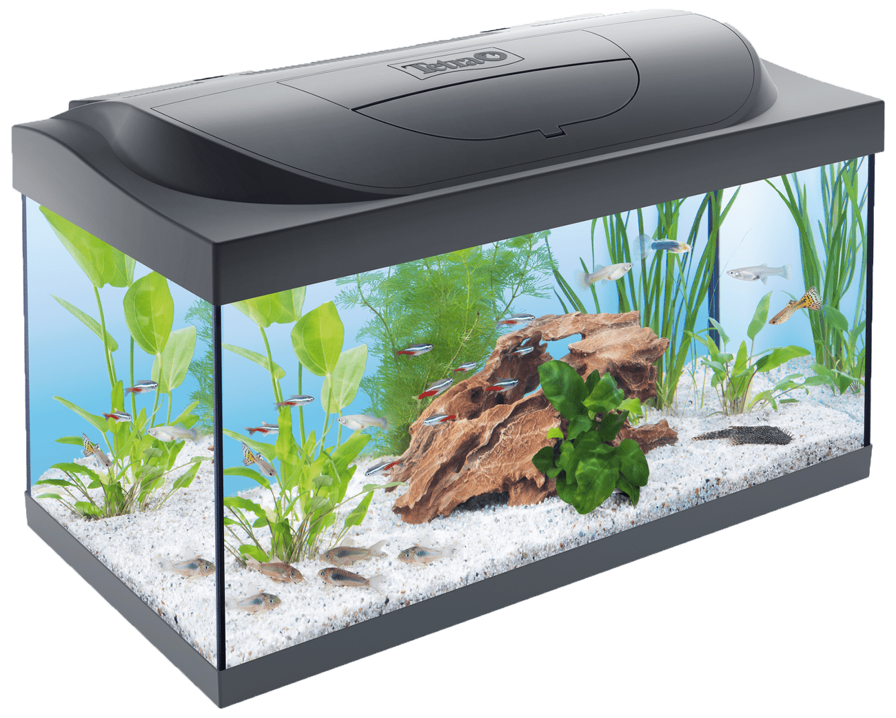 Akvárium Tetra Starter Line LED 54l