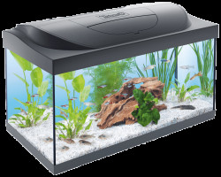 Akvárium Tetra Starter Line LED 54l