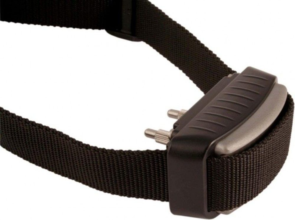 BAZAR - Dogtrace d-mute light