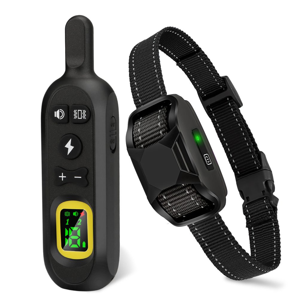 Bazar - Reedog P19 | P58822