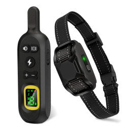 Bazar - Reedog P19 | P58822