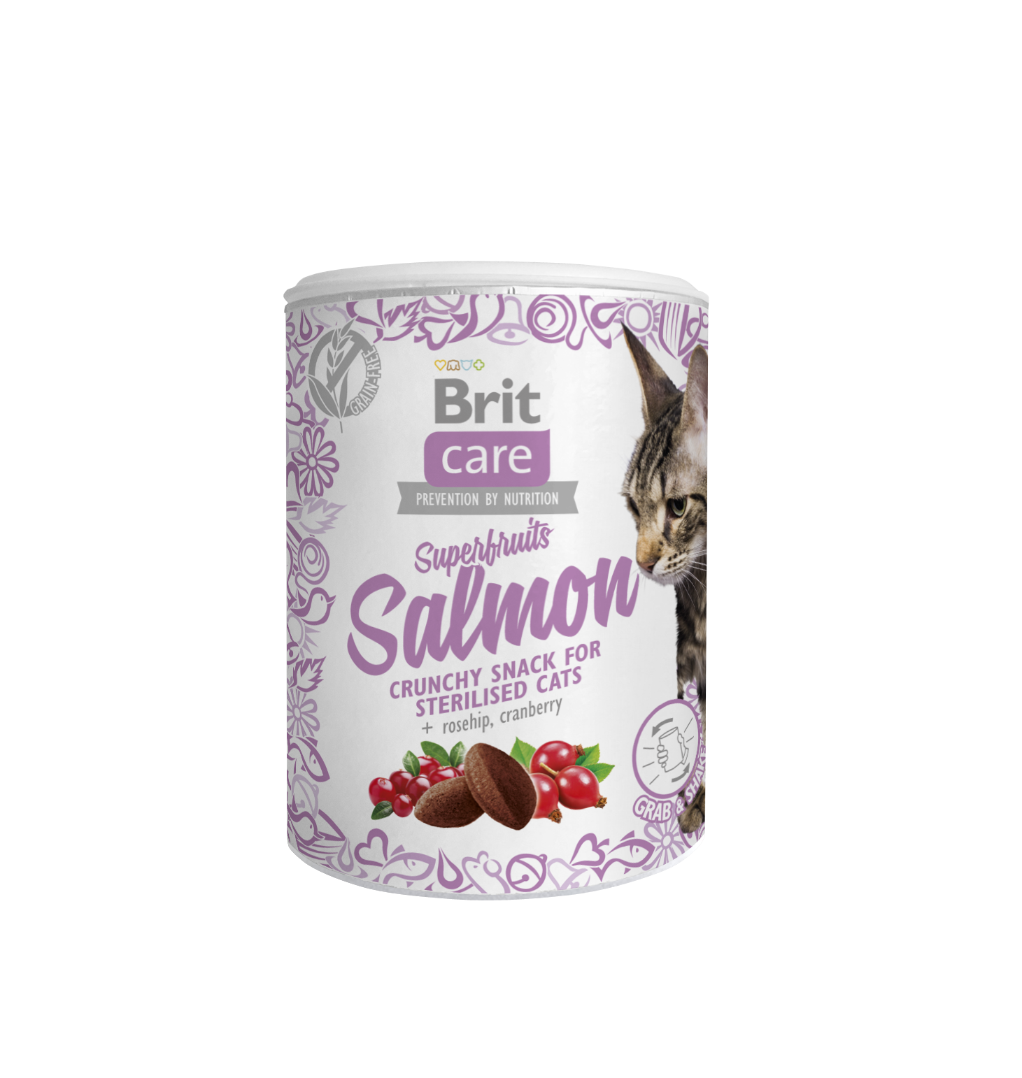 Brit Care Cat Snack Superfruits Salmon 100 g