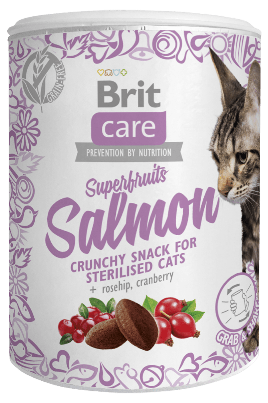 Brit Care Cat Snack Superfruits Salmon 100g