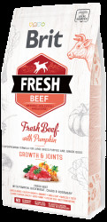 Brit Fresh Beef with Pumpkin Puppy Large 2,5kg