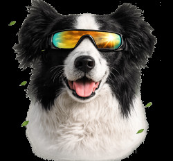 Brýle M-Pets Sunbather pro psy