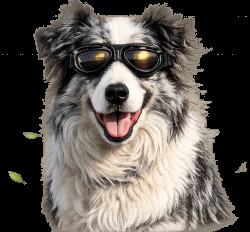 Brýle M-Pets Trailblazer pro psy