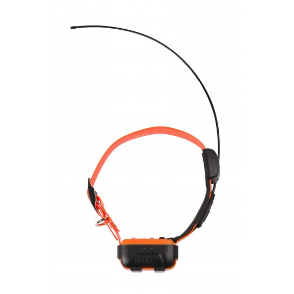 Canicom GPS náhradní obojek a přijímač | P53375