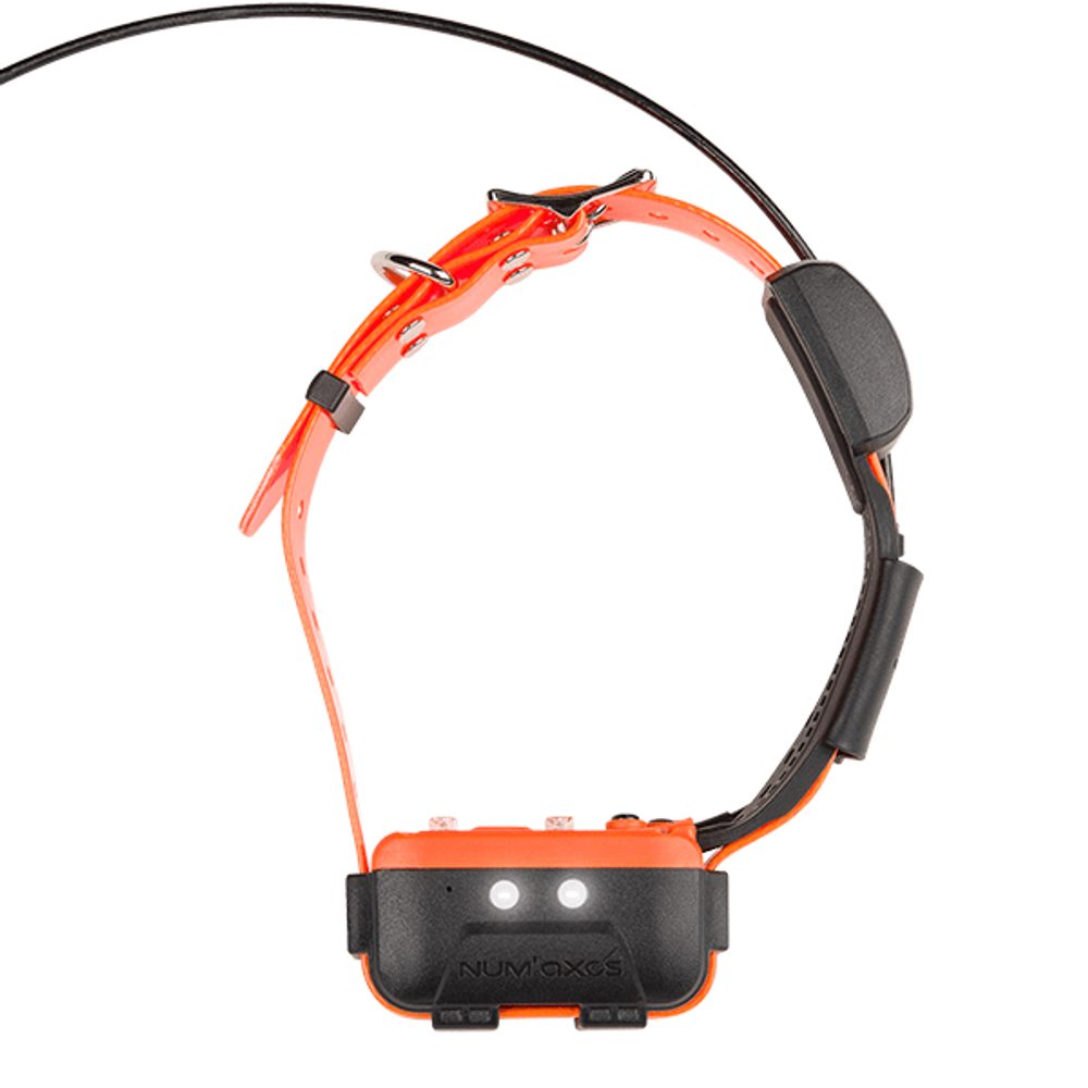 Canicom Náhradní obojek a přijímač pro Canicom GPS2 | Náhradní příslušenství | P58288