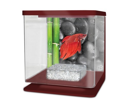 Cat-Gato Betarium Betta kit stones 2 l