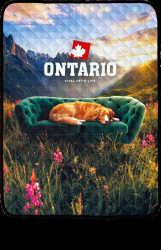 Cestovní deka Ontario pro psy