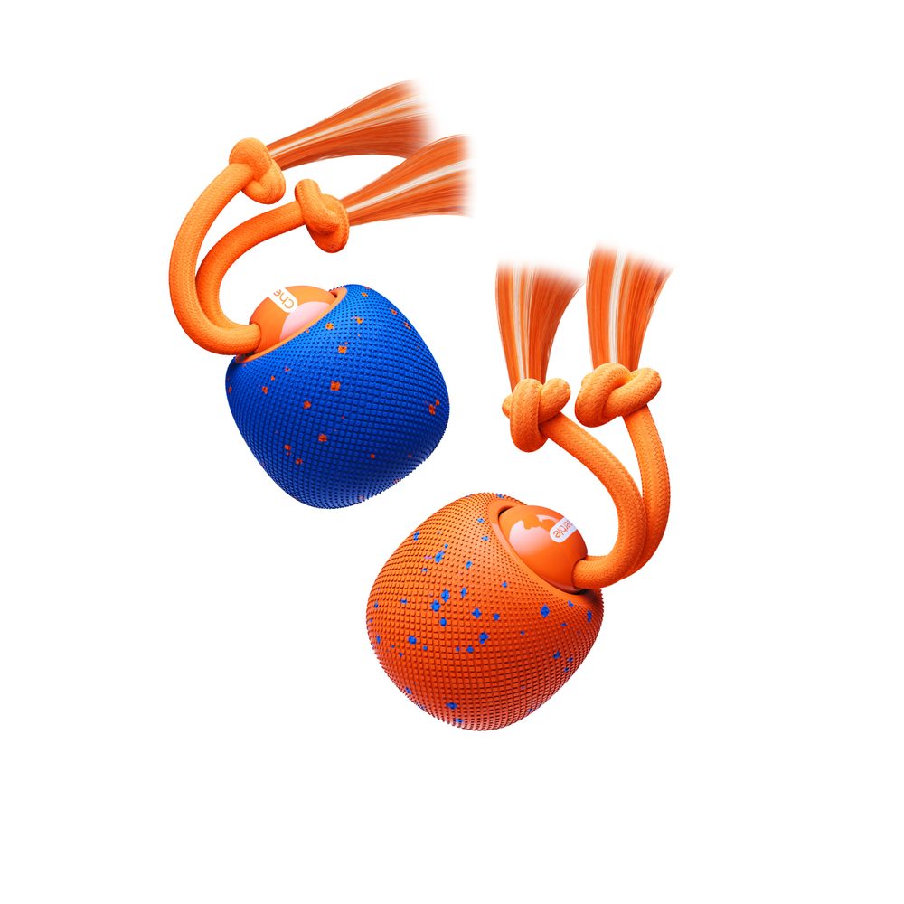 Cheerble Wicked Ball Rolly | Interaktivní hračka pro psy | P58298