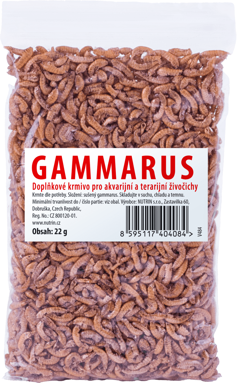 DARWIN's Gammarus 22g