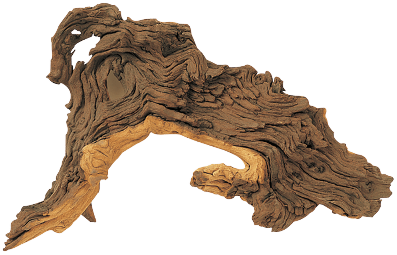 Dekorace Hobby Dohse Tropical wood L