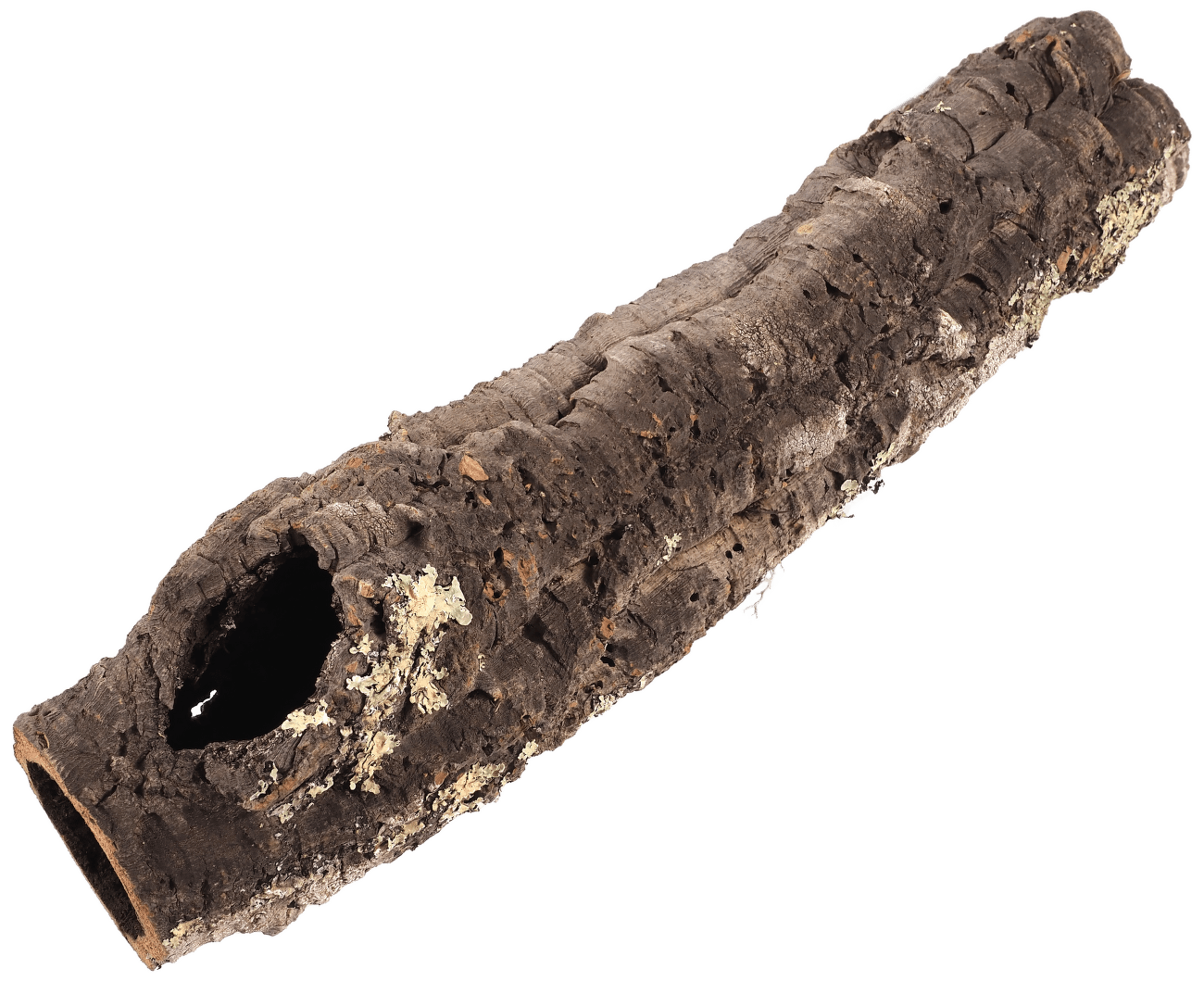 Dekorace Repti Planet Korková kůra L 30-50cm