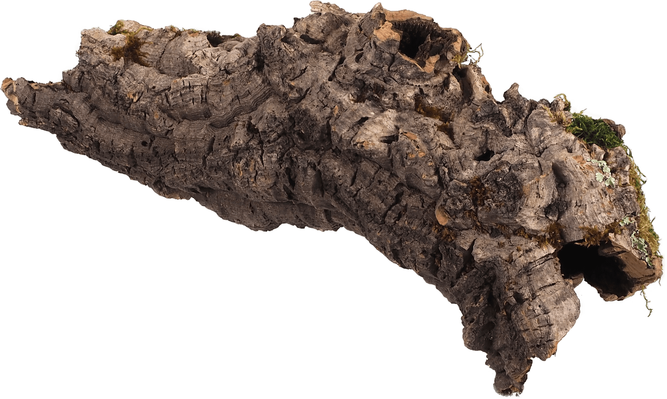 Dekorace Repti Planet Korková kůra M 15-30cm