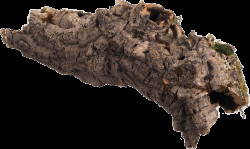 Dekorace Repti Planet Korková kůra M 15-30cm