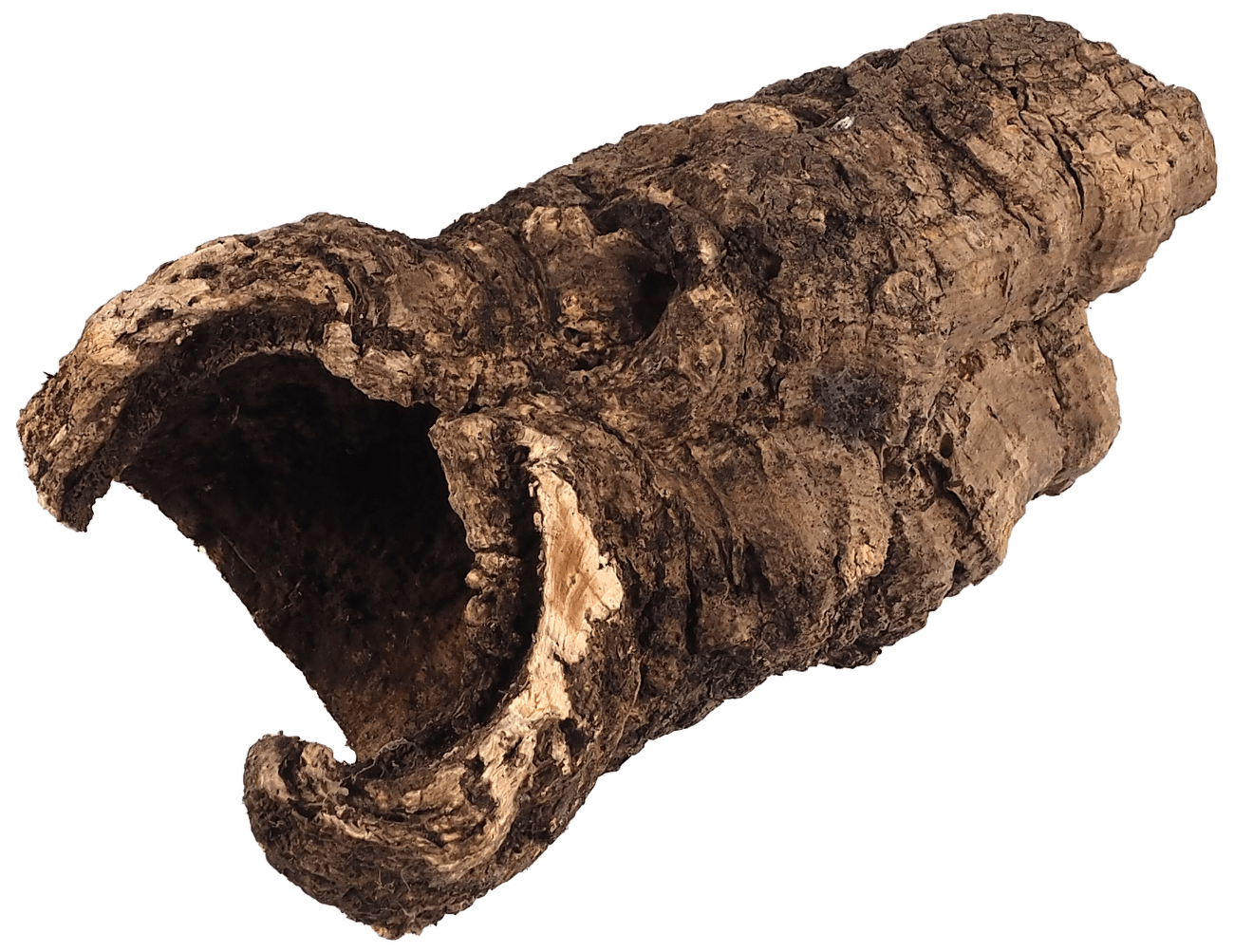 Dekorace Repti Planet Korková kůra S 12-15cm