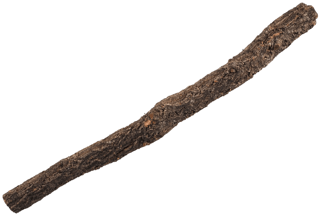 Dekorace Repti Planet Korková větev L 60-90cm