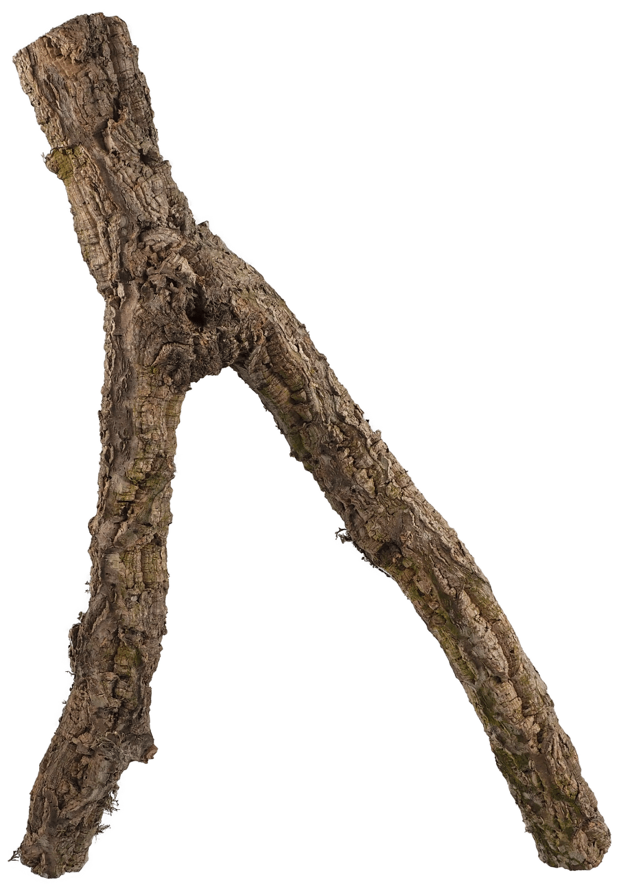 Dekorace Repti Planet Korková větev M 30-60cm