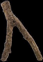 Dekorace Repti Planet Korková větev M 30-60cm