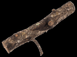 Dekorace Repti Planet Korková větev S 15-30cm