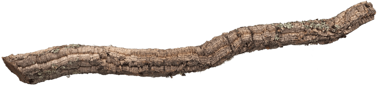 Dekorace Repti Planet Korková větev XL 90-120cm