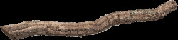 Dekorace Repti Planet Korková větev XL 90-120cm