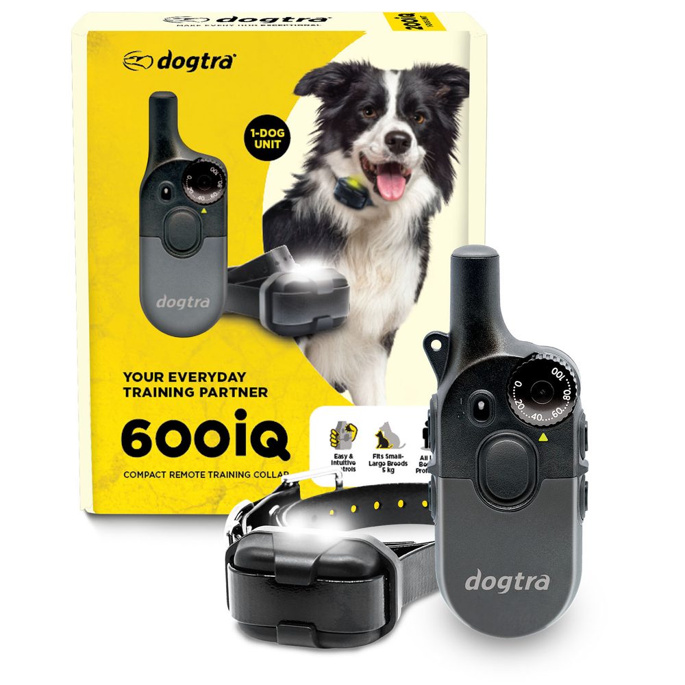 Dogtra 600iQ | P59364