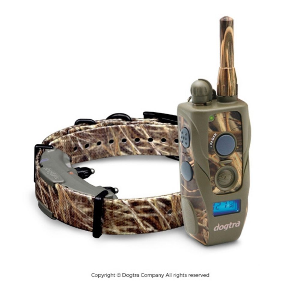 Dogtra ARC 800 Camo | P2705