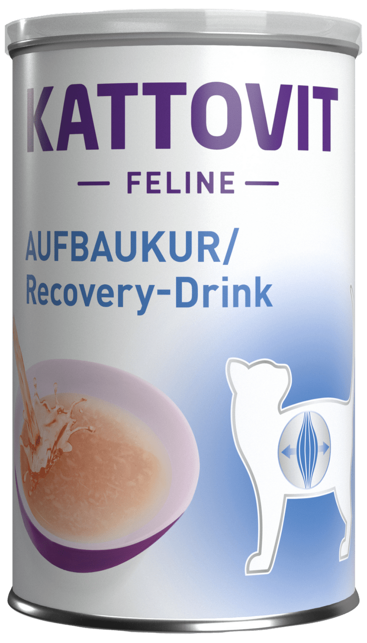 Drink KATTOVIT Recovery 135ml