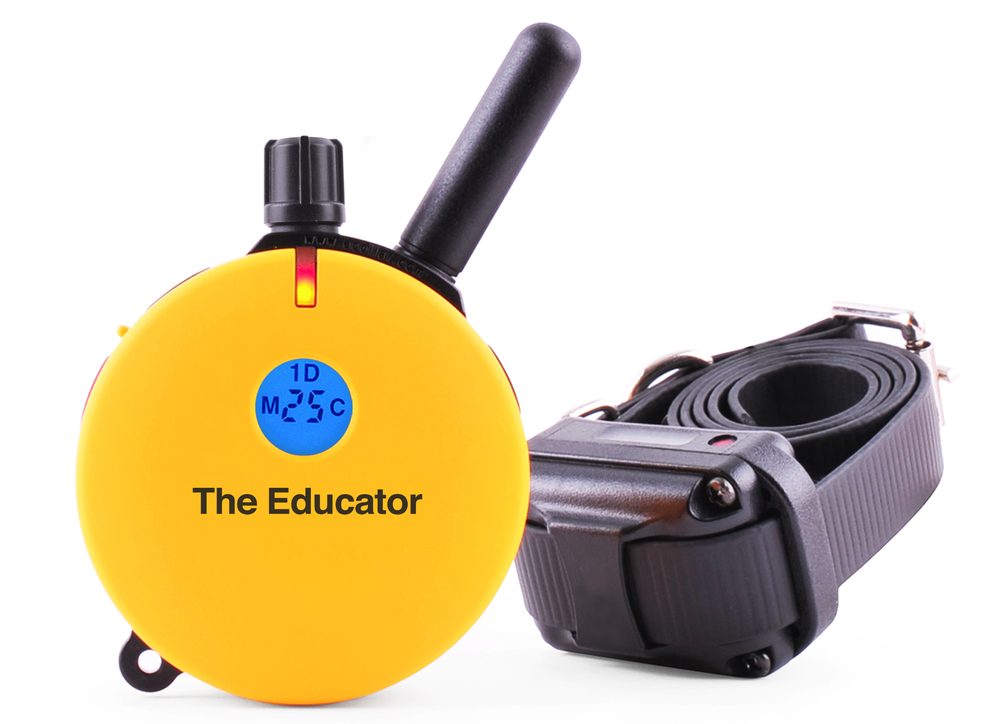E-Collar Educator ET-400 | P7224