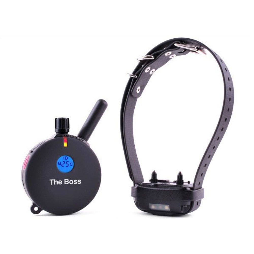 E-collar The Boss ET-800 | Elektronický výcvikový obojek | P12648