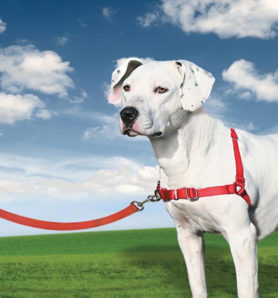 Easy Walk™ Harness | P2105