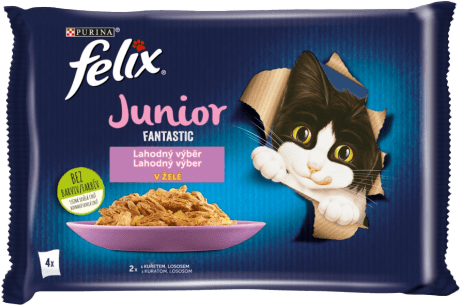 Felix Fantastic Junior Multipack s kuřetem a lososem v želé 4x85g