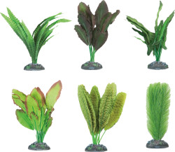 Flamingo akvarijní rostliny mix CONGO M