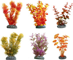 Flamingo akvarijní rostliny mix CUBA XS