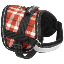 Gimborn IT Postroj Gimborn Pixie Scot M 1,5x36-46 cm červený