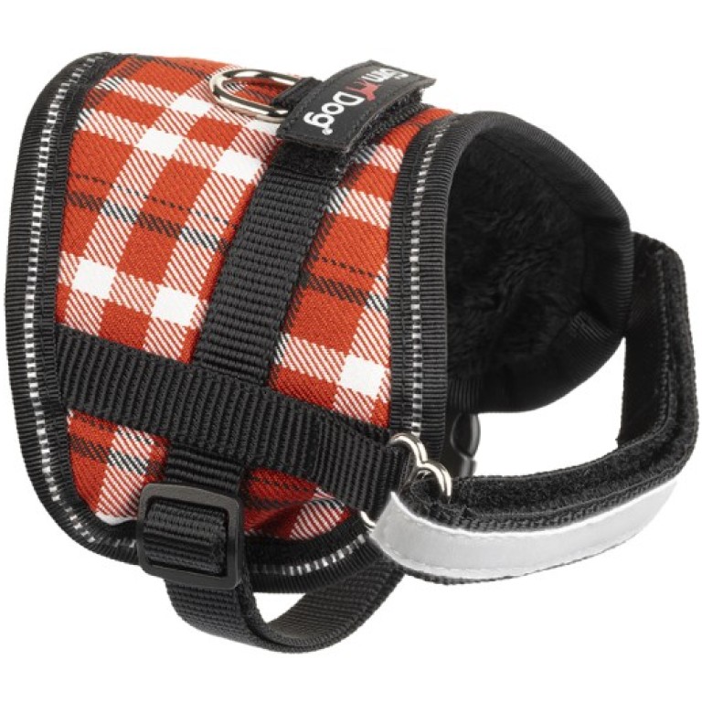 Gimborn IT Postroj Gimborn Pixie Scot S 1,5x31-40 cm červený